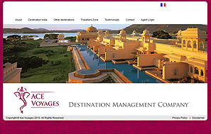Tour and Travel Website designing company delhi