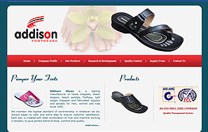 Footwear web designing company Delhi