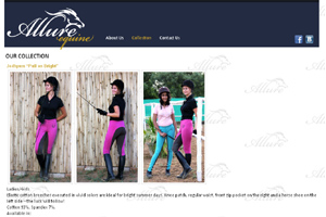 Beauty Salon website designing delhi