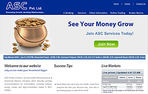 Financial website designing company delhi
