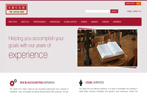 tax & accounting website design company delhi