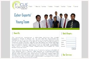 cyber expert web designing company delhi