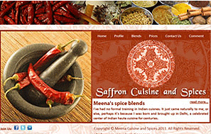 Spices website designing company Delhi