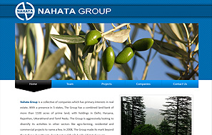business group website designing company