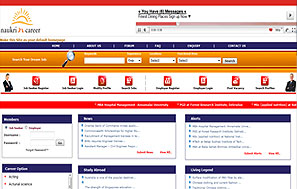 Job Services website design company delhi