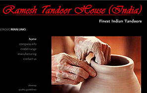 Industrial website designing company delhi