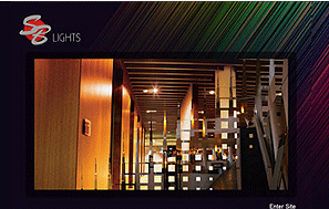 Lights website desiging company delhi